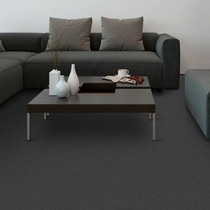 Carpet Installation