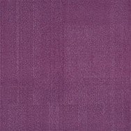 Lavender Field 74 Lavender Field 74