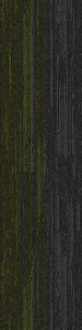 Citrus-Avalanche-370
