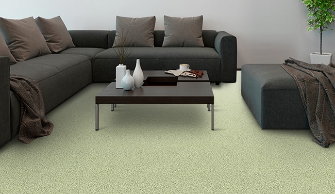 Image presents How to Choose the Right Carpet for Rooms