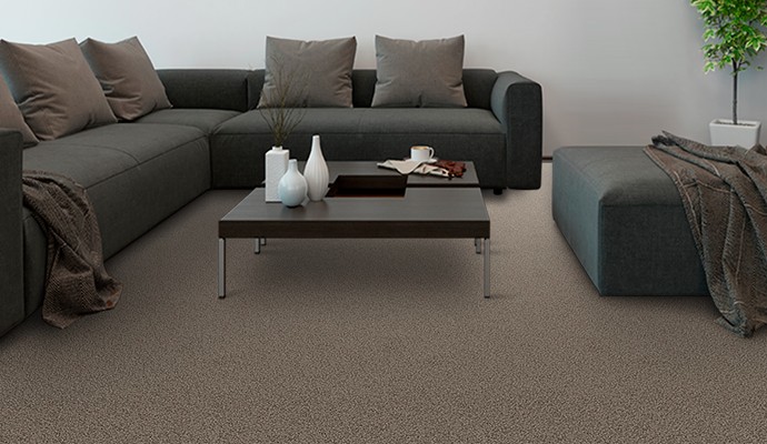 Image presents How to Choose the Right Carpet for Rooms