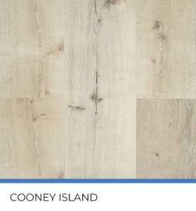 Hydroplank-Cooney Island