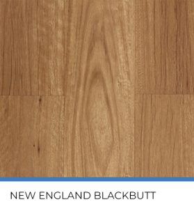 New England Blackbutt