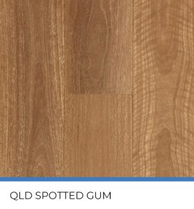 Qld Spotted Gum