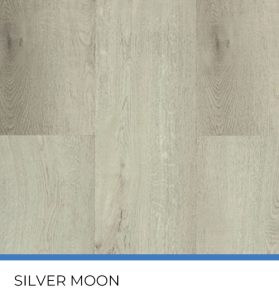 Silver Moon