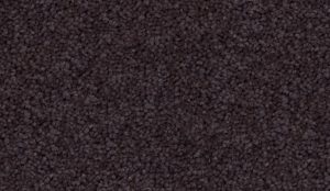 Deep-Purple