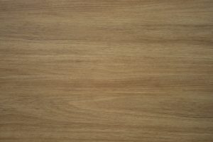 Eastern-Black-Blackbutt-1645