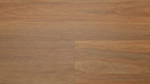 Northern Blue Gum-26002303