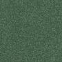 Peppermint