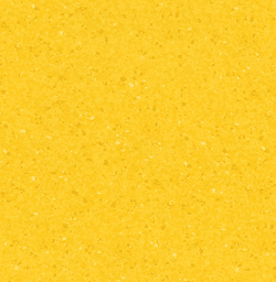 Lemon-Zest-1140