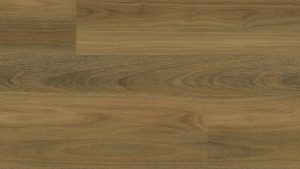 Colonial-Spotted-Gum-555 Colonial-Spotted-Gum-555