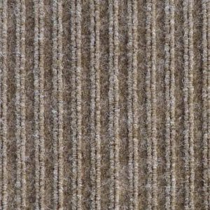 Seashell carpet