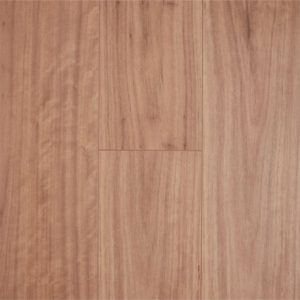 KA12-Blackbutt-D4013