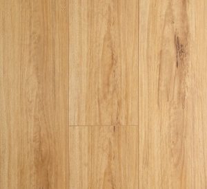 L8-OL Blackbutt