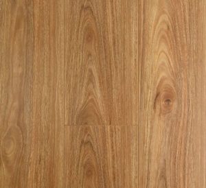 L8-OL Spotted-Gum