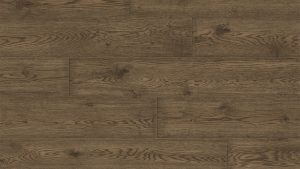 Ancient-Oak-580