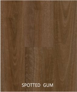 Spotted-Gum