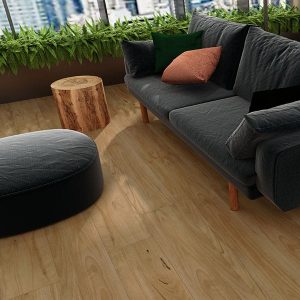 Aqua-Blackbutt