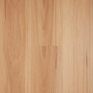 Blackbutt