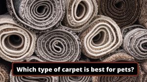 image represents Which type of carpet is best for pets?