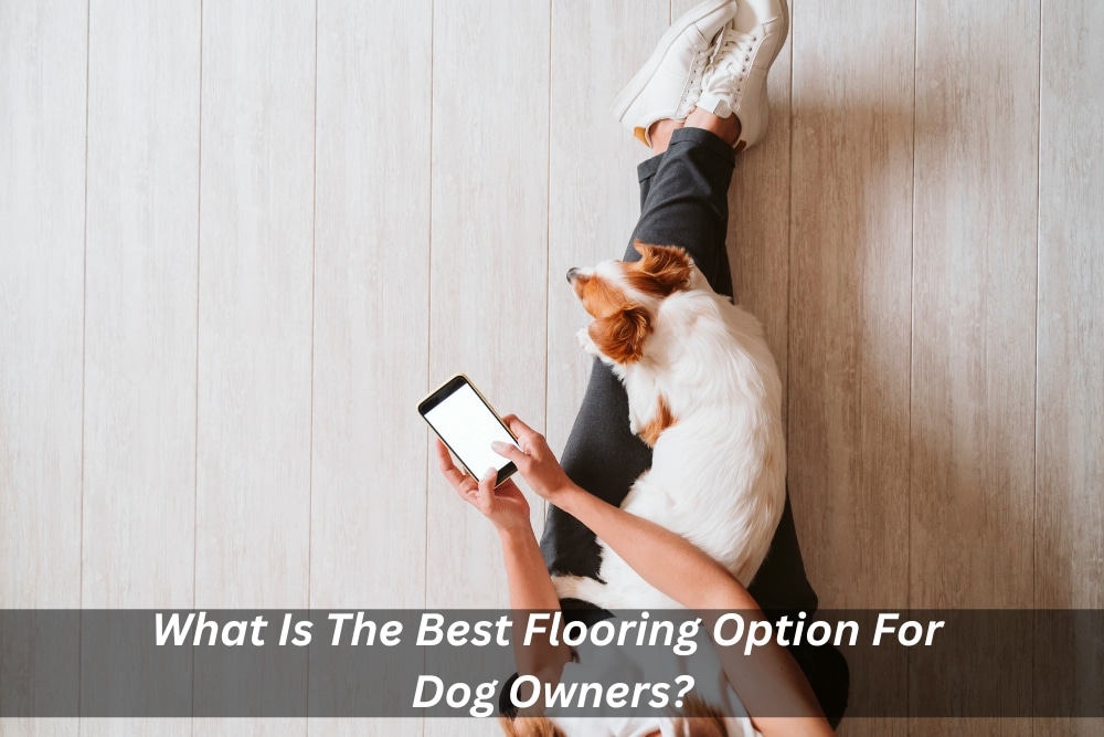 Image presents What Is The Best Flooring Option For Dog Owners