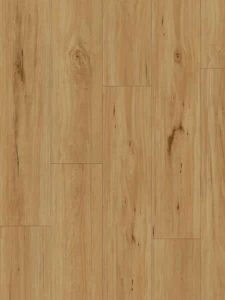 Blackbutt- 91101 Blackbutt- 91101
