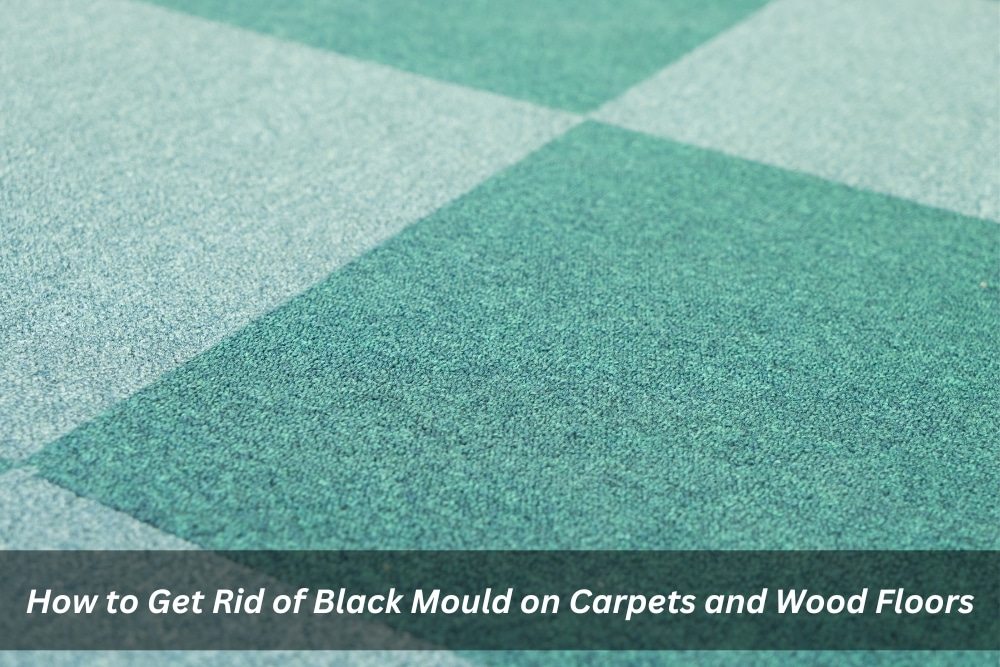 Image presents How to Get Rid of Black Mould on Carpets and Wood Floors