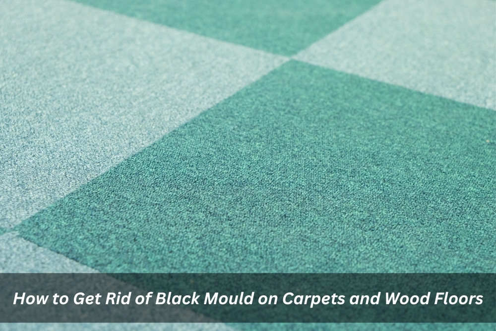 How to Get Rid of Black Mould on Carpets and Wood Floors
