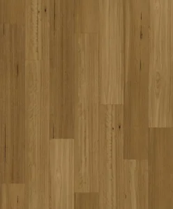 Grand Blackbutt