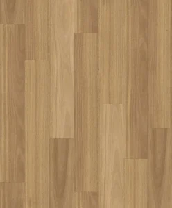 Seasonsed Spotted Gum