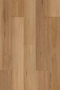 Blackbutt