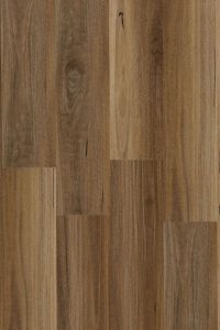 Spotted Gum