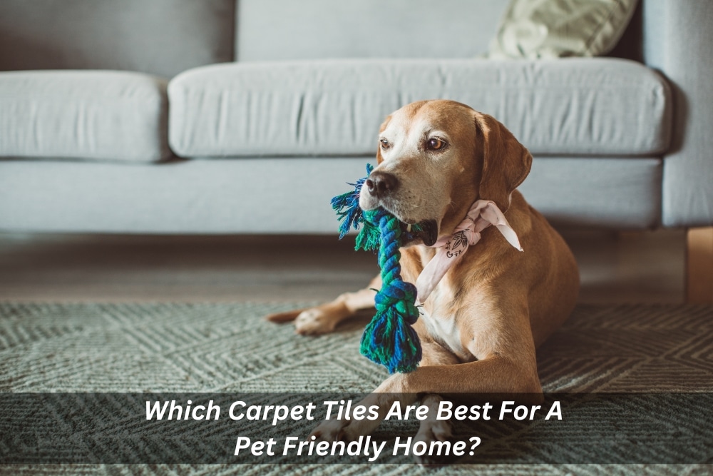 Image presents Which Carpet Tiles Are Best For A Pet Friendly Home