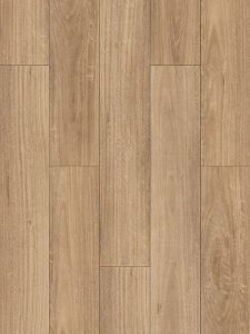 BLACKBUTT