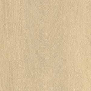 CORNSILK