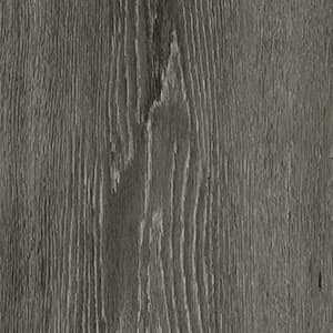 SILHOUETTE OAK