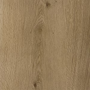 SOURTHERN OAK