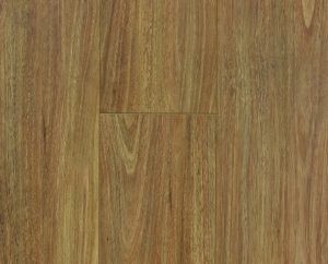 SPOTTED GUM