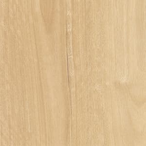 SUMMER BLACKBUTT