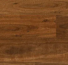 TAMBORINE MOUNTAIN SPOTTED GUM