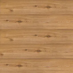 CHILEAN HAZEL