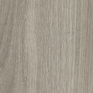 SILVER GREY OAK