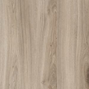 TAWNY OAK