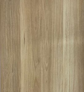 NSW BLACKBUTT