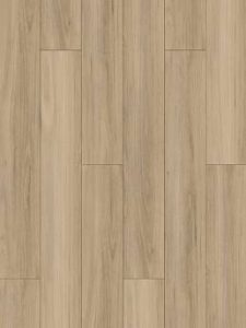 NSW BLACKBUTT