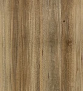 SPOTTED GUM