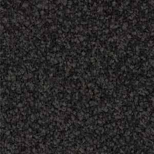 CARBON