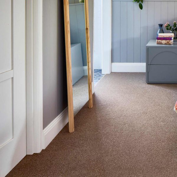A hallway with light beige carpet, a tall mirror, and a side table with a plant.