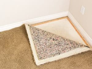 Close-up of peeled-back carpet, revealing underlay and tack strip, relevant to diy carpet installation.