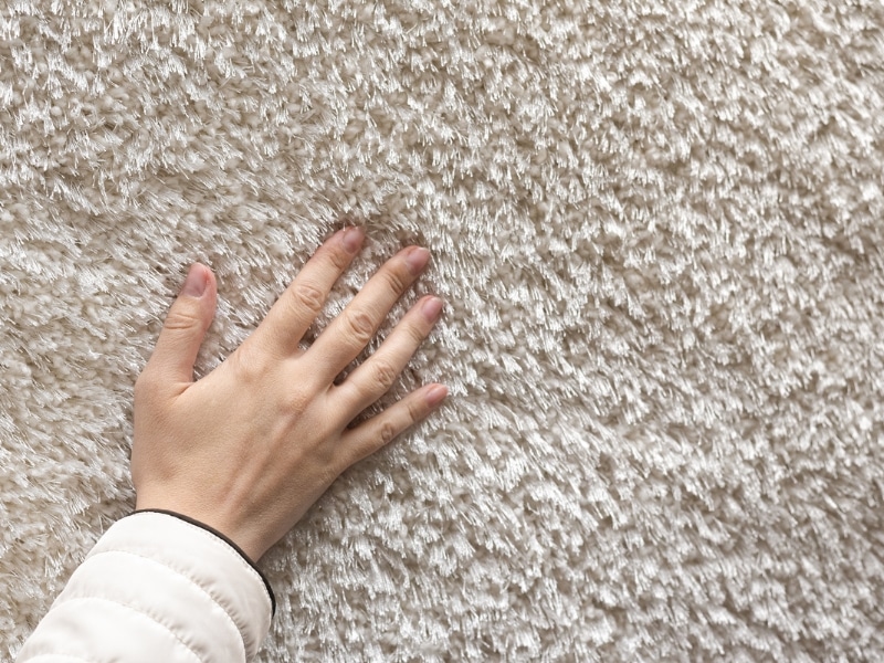 Hand feeling plush fibres of best type of carpet for home comfort.
